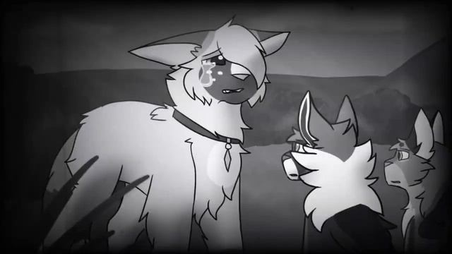 Коты-воители грустная история