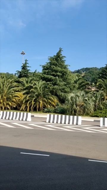 Адлер Сочи 2024 смотреть онлайн