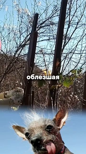 Чтобы не ошибиться с выбором сада, лучше обратиться к профессионалам  Напишите нам!✉️