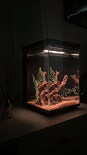 Аквариум Xiaomi 10 Литров