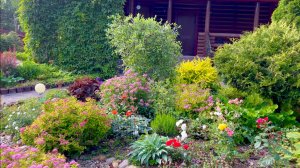 Яркость многолетнего сада в июле.