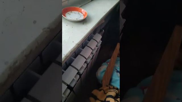 Всем привет