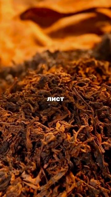 Почему некоторые чаи смотреть онлайн