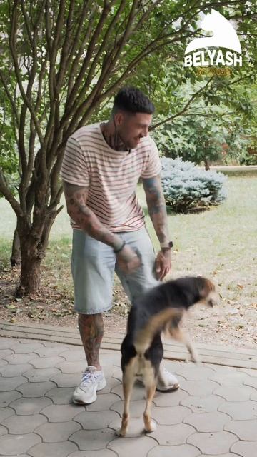 ДНК нашего «Беляша»