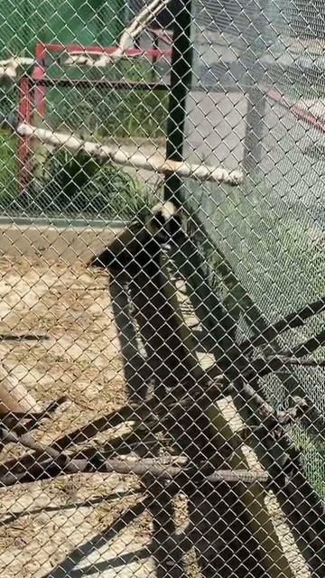 17 мая 2023 г. смотреть онлайн