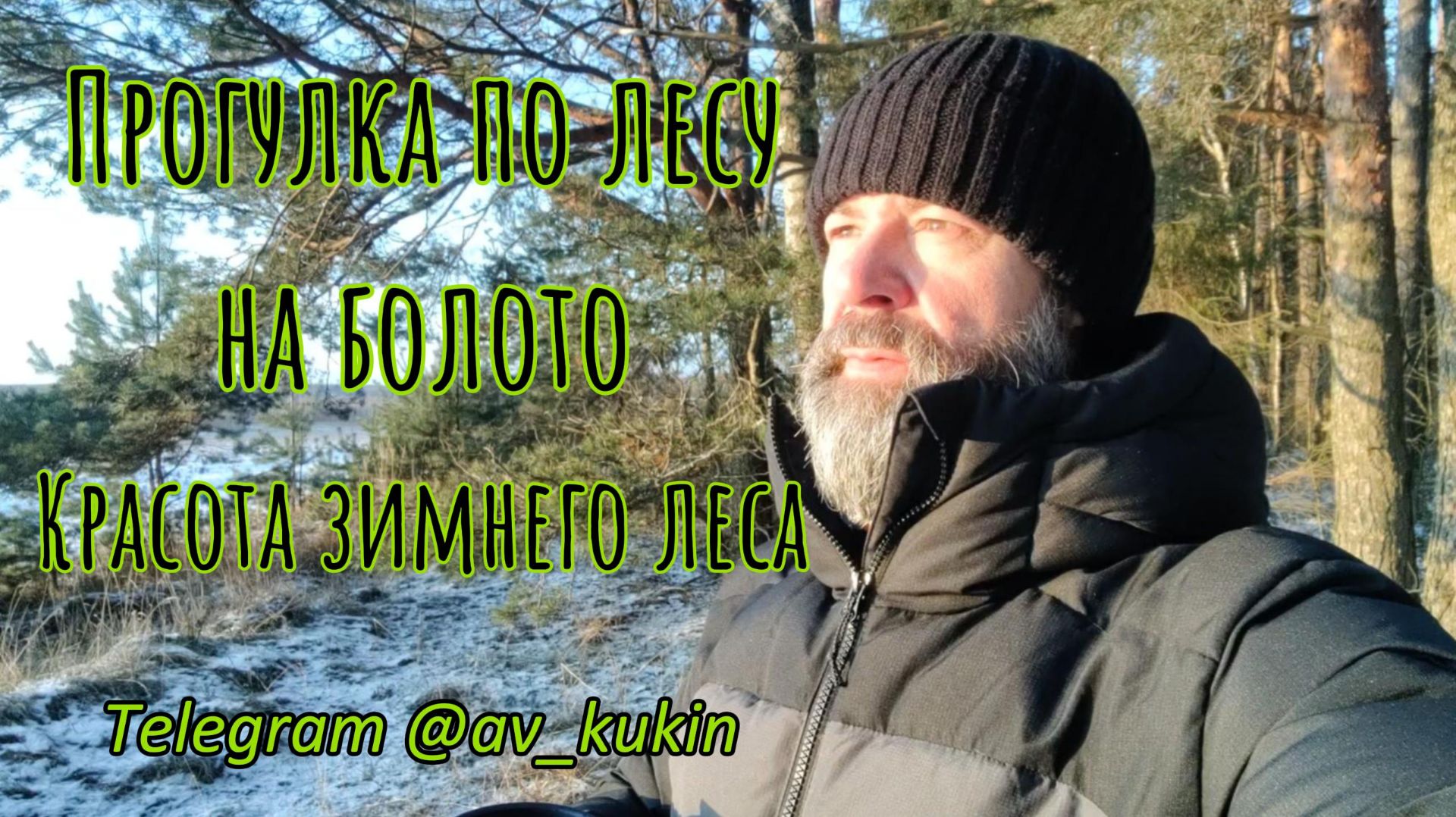 Поход по лесу на болото 14.12.25 #кострома #природа #лес #зима #nature #походвлес #поход