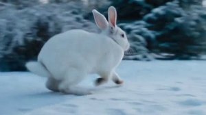 Не догоню, так хоть согреюсь!..