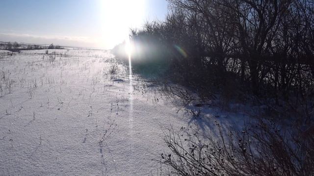 Охота на зайца по первому снегу 14.12.2025 смотреть онлайн