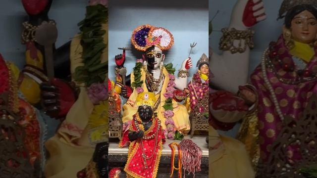 Приглашение в Маяпур. Весна 2026