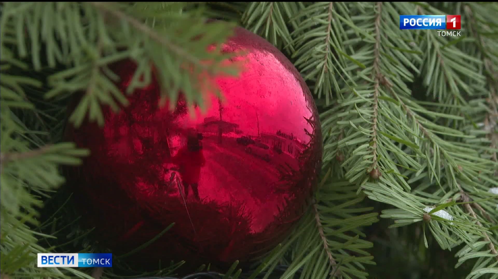 Вести-Томск, выпуск от 16.12.2025 11:30 смотреть онлайн