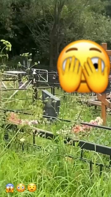 Вася смотреть онлайн