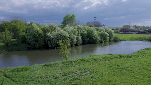 Просто черёмуха 2024 смотреть онлайн