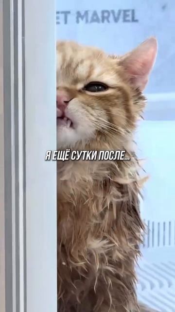 Ничуть не расстроился.. или нет?