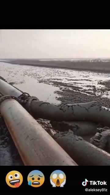 шавуха смотреть онлайн