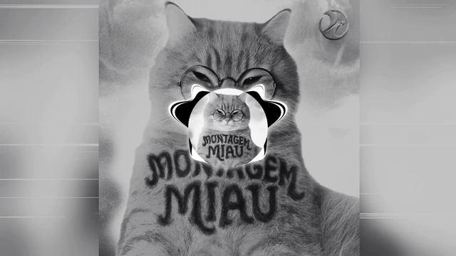 MONTAGEM MIAU ULTRA SLOWED PHONK