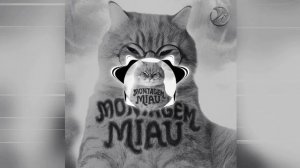 MONTAGEM MIAU ULTRA SLOWED PHONK