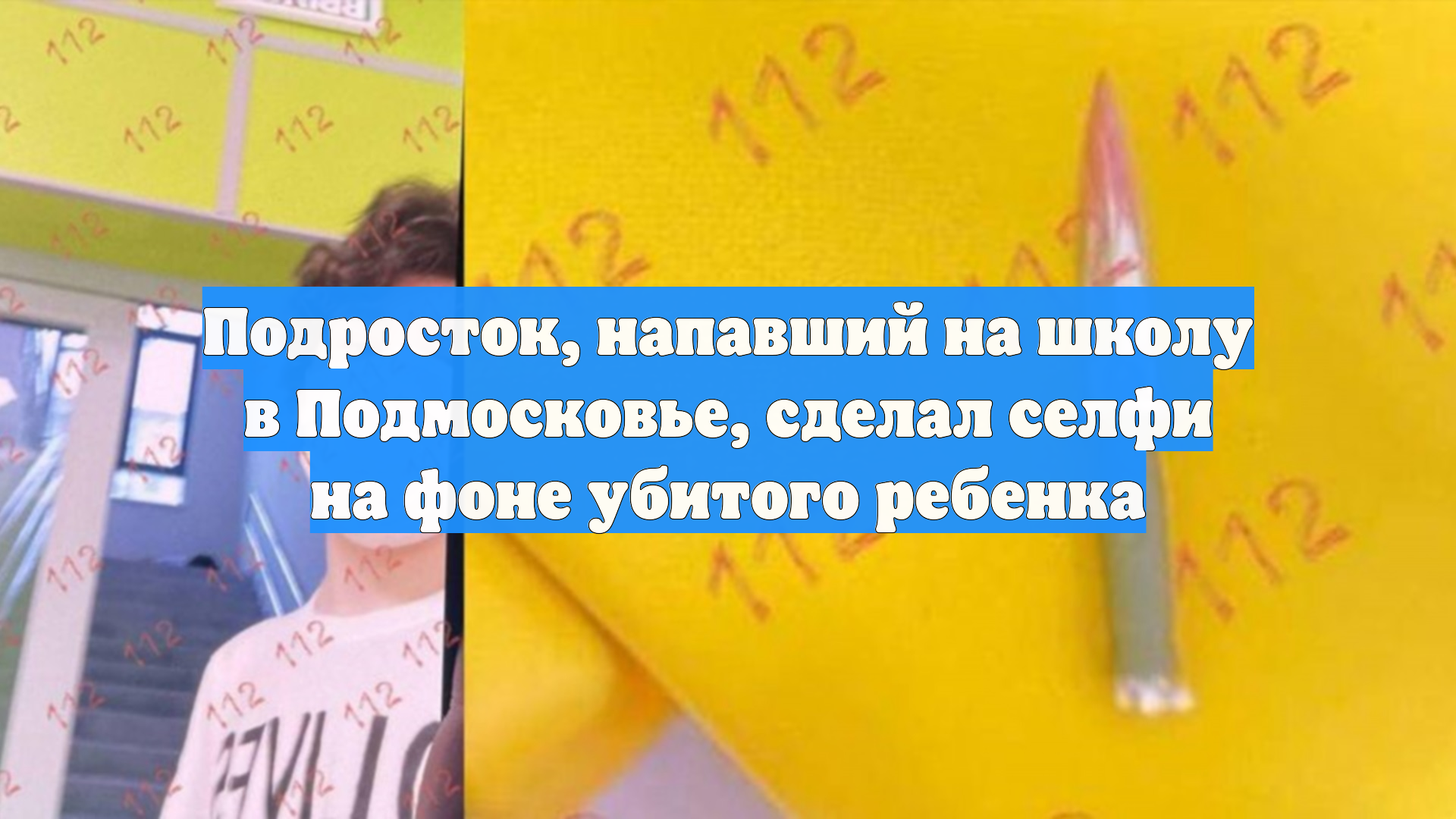 Подросток, напавший на школу в Подмосковье, сделал селфи на фоне убитого ребенка смотреть онлайн