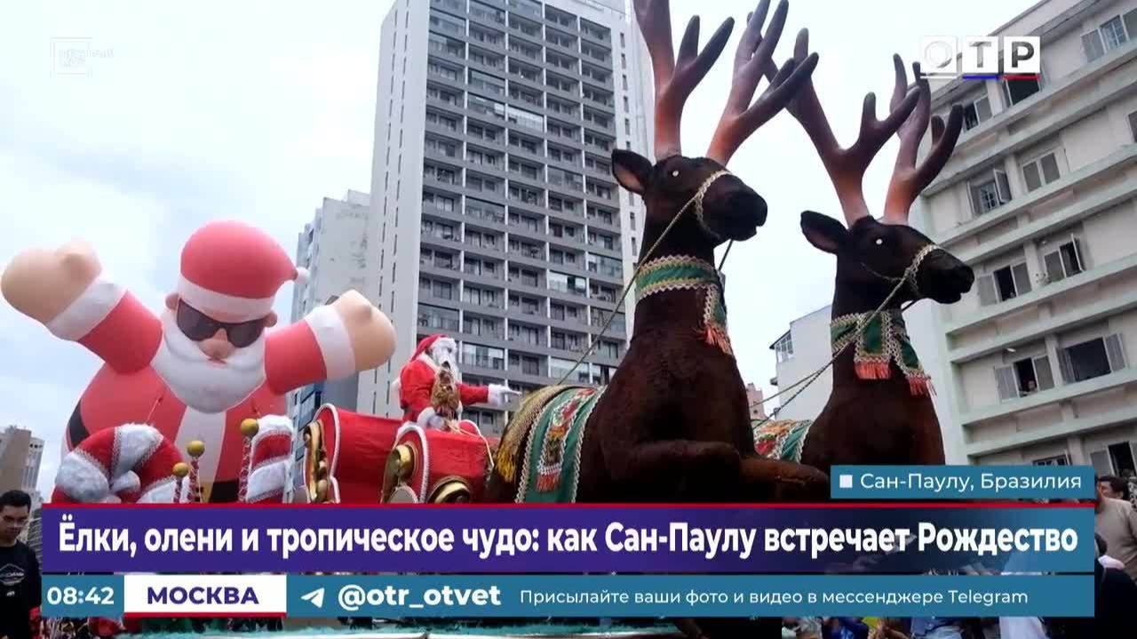 Елки, олени и тропическое чудо: как Сан-Паулу встречает Рождество смотреть онлайн