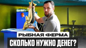 Бизнес на РЫБЕ в 2025 году. Сколько ДЕНЕГ нужно для ПОСТРОЙКИ ФЕРМЫ?