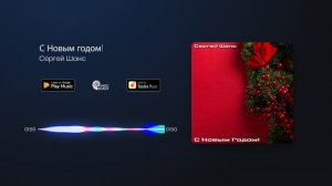 Сергей Шанс - С Новым Годом !