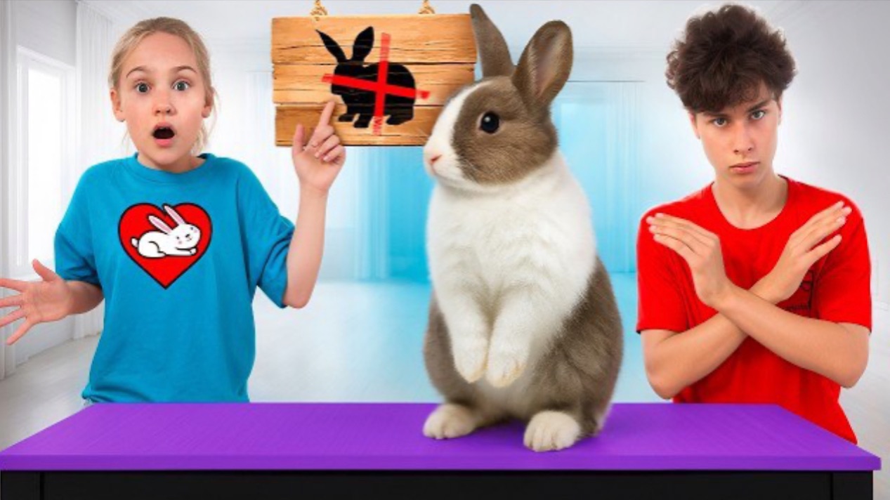 Кто останется жить у нас дома? КРОЛИК или КОТ? смотреть онлайн