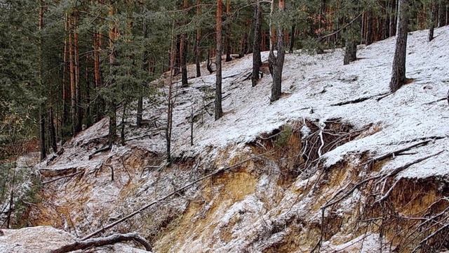 ВСЁ БУДЕТ ПО-НОВОМУ!... (Фото Игоря БАРАНОВА (Рязань), музыка электронной гр. "SOFTWARE")" смотреть онлайн
