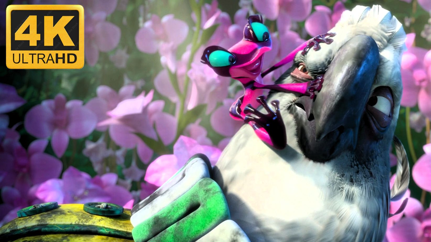 🐦RIO🦜(4К Дубляж) смотреть онлайн