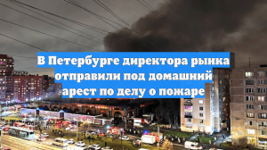 В Петербурге директора рынка отправили под домашний арест по делу о пожаре