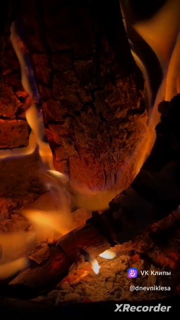 Kalandra - Mørke Skoger (Extended)