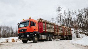 SITRAK C7H 6×6: надёжный лесовоз для бездорожья и трассы