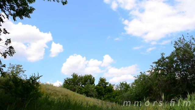 Волгоград 22.05.2016