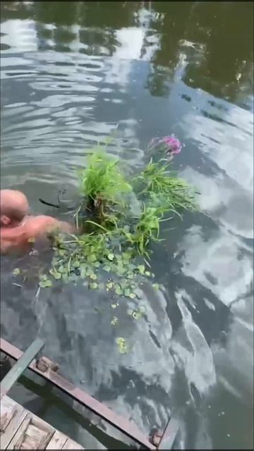 Романтик ❤️ смотреть онлайн