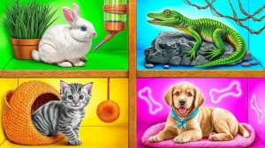 Построили дом для питомцев