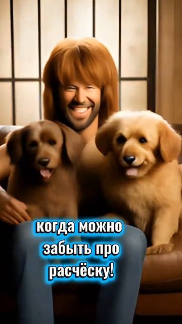 🎉 Сегодня можно не расчёсываться! С днём лохматых (16 декабря)!🥳 смотреть онлайн