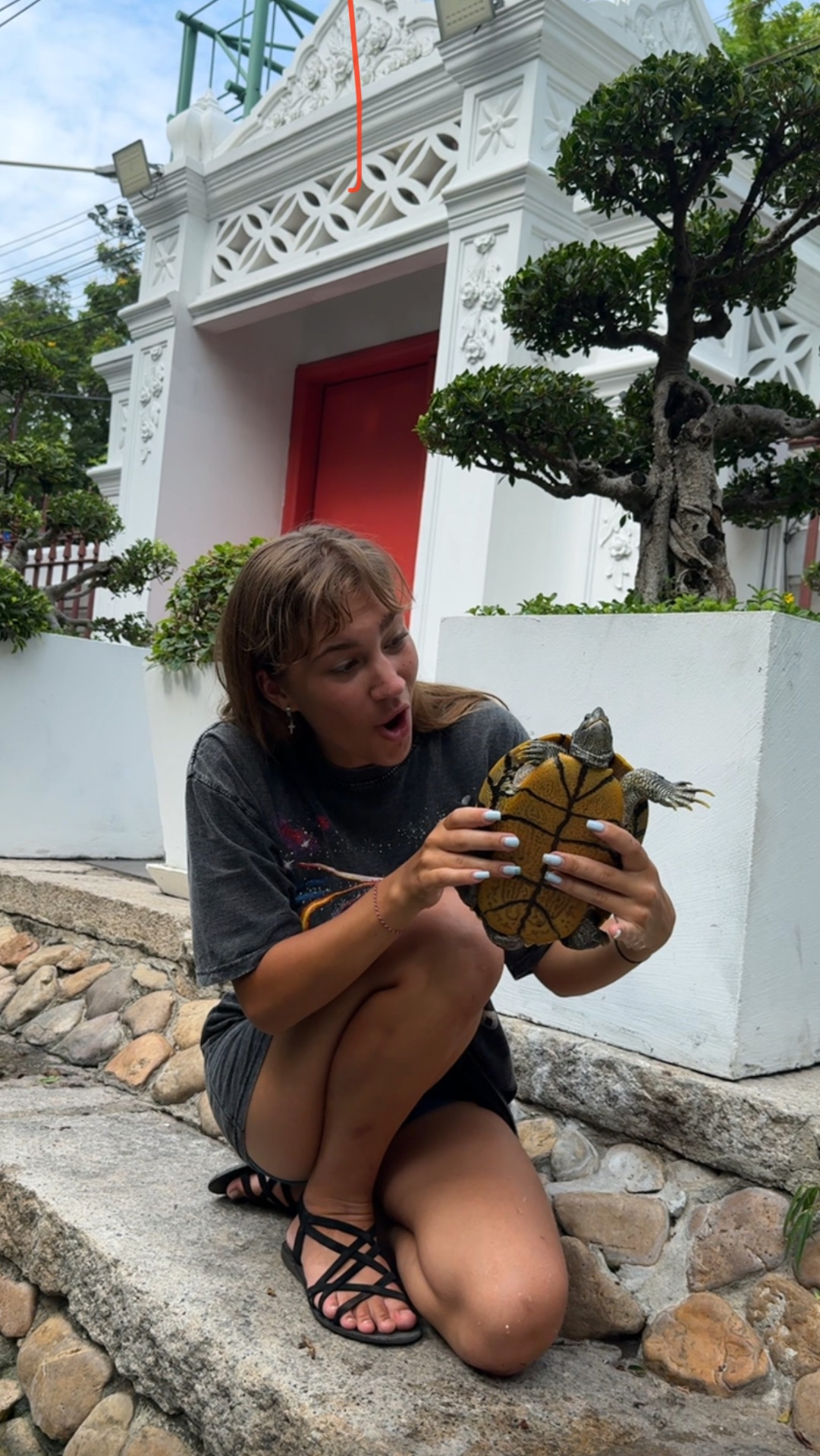 Где обняться с черепахами?! 🐢😋 смотреть онлайн