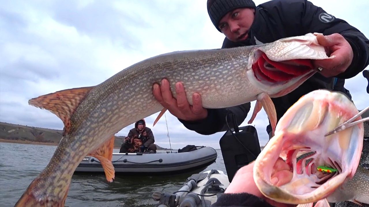 Случилось невозможное! Рекордные рыбины в отвес! Рыбалка на судака и крупную щуку смотреть онлайн