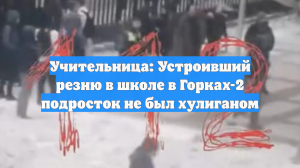 Учительница: Устроивший резню в школе в Горках-2 подросток не был хулиганом