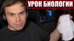 ГЛЕБ на УРОКЕ ЖЕНСКОЙ БИОЛОГИИ / ПРОКЛАДКИ и ЗАКАЗ ВИТИ (Хелин, Лиза, Танкзор и др.) | Sasavot