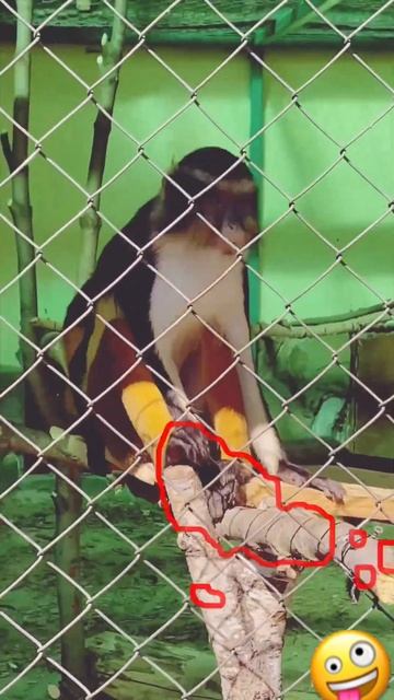 17 мая 2023 г. смотреть онлайн