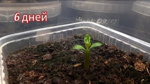 Чудеса случаются тогда, когда есть те, кто способен их увидеть🫶 Таймлапс на 6 дней.