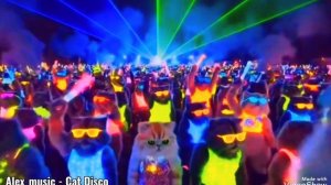 Alex_music - Cat Disco