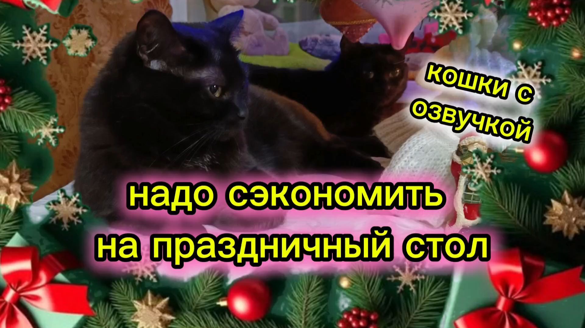 Кошки с озвучкой. смотреть онлайн