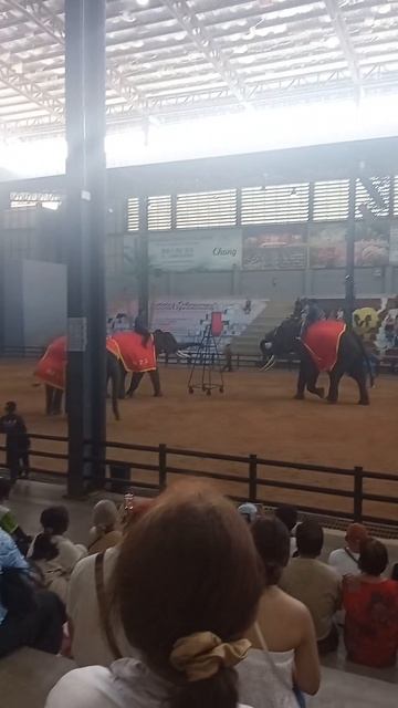 Nong Nooch: не только сады, но и СЛОНЫ! Что скрывает шоу слонов в Nong Nooch? смотреть онлайн