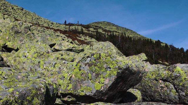 Поднебесные зубья 2019 смотреть онлайн