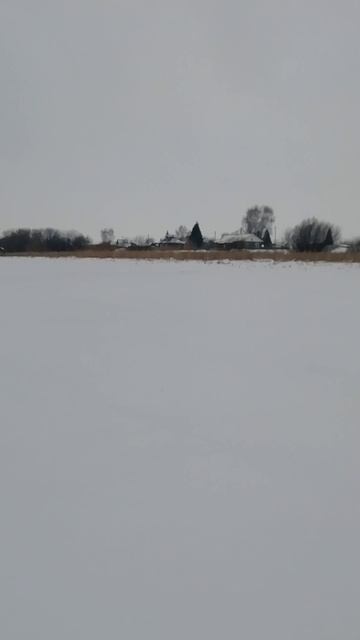 Заруба с хищником!!!