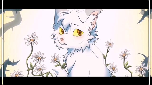 самый красивый Эдит на канале!! смотреть онлайн