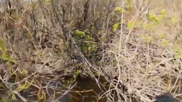 video_2025-09-29_15-10-20 смотреть онлайн