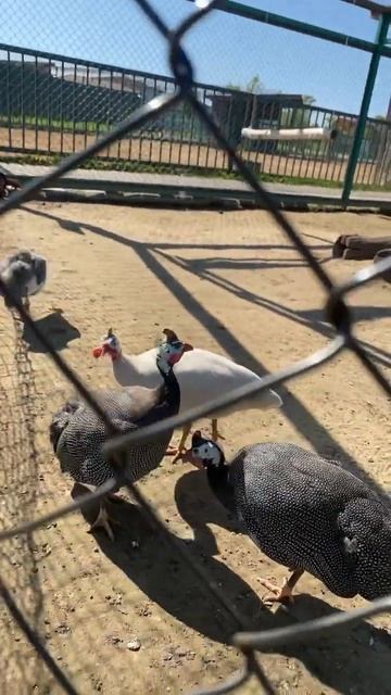 17 мая 2023 г. смотреть онлайн