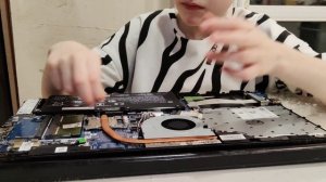 замена вентилятора ноутбука HP
