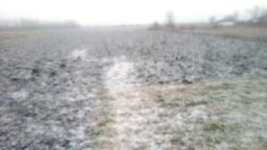 Посеребрило в декабре...